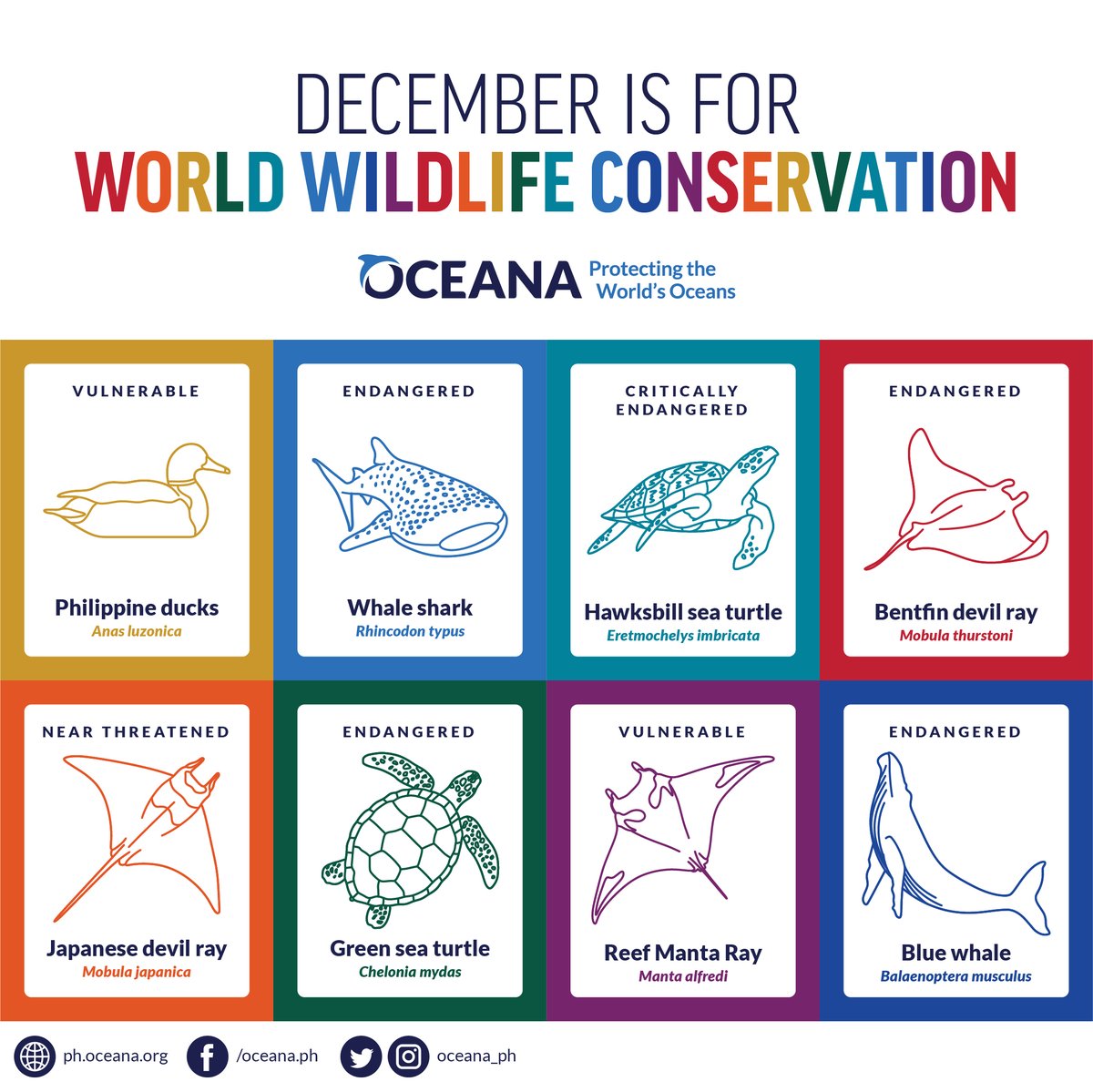 Celebrating the entire December with World Wildlife Conservation Day! 
#WorldWildlifeConservationDay
#WorldWildlifeConservationDay2023