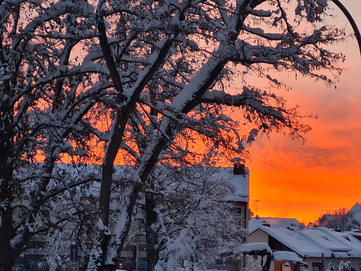 2576sb's tweet photo. Guten Morgen ❄️🌞 https://t.co/AveagB80P0