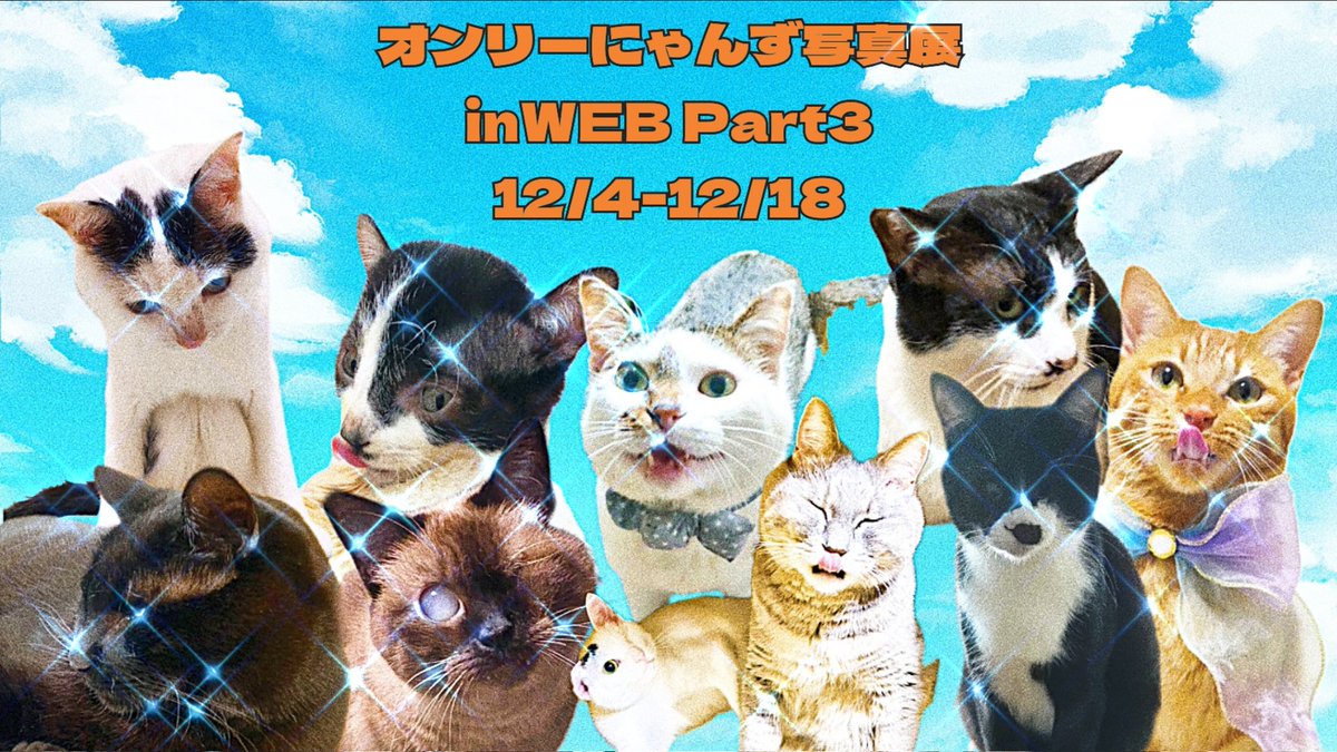ついにオンリーにゃんず写真展inWEBも最終回✨

今回は10匹の猫が一気に登場します🤗
ぜひ、個性的な子たちの可愛い姿を観てください💕

kyoto-muse.jp/web-exhibit/17…