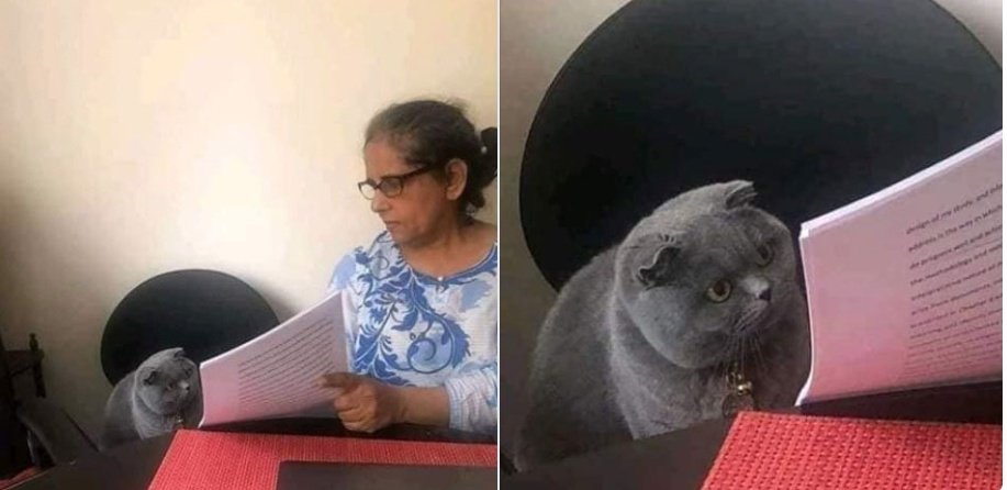 + Cuál es una de las visitas más linda del mundo ? 
- La Torre Eiffel de noche! 
+ Y porque pusiste ver a una mujer en cuatro ?