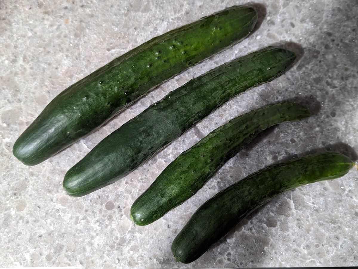 howiage's tweet photo. @elonmusk Yes, just harvested these from our greenhouse. https://t.co/9GDpCHaK6a