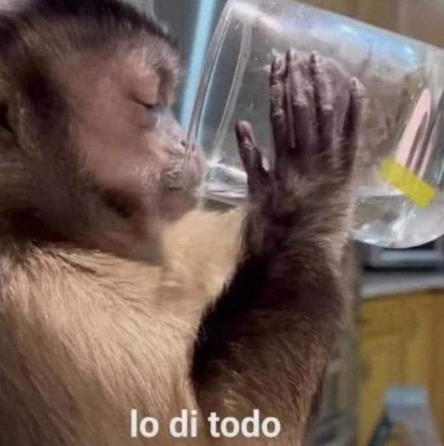 wtfree's tweet photo. Yo con mi maldito dulcero que solo ocuparé una vez en toda mi vida https://t.co/J4CW957gbp