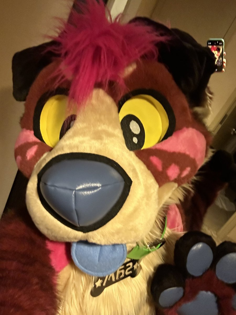 sampandog's tweet photo. Pandog adventures starting now! #furfest2023 https://t.co/FTTLL2AJaz