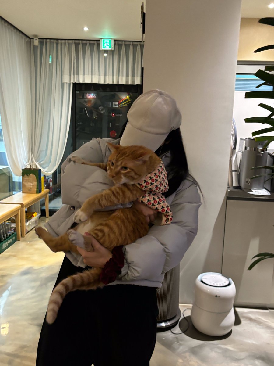Ste_gOsH930's tweet photo. Yuju with a cat🐶🐱 https://t.co/0lruSyTbWu