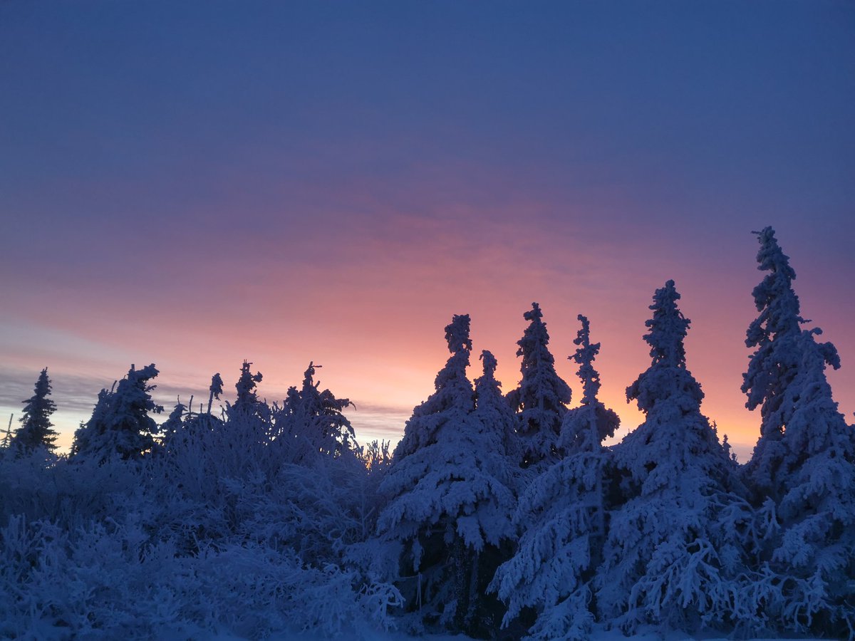 Marekptaku's tweet photo. Kilka fotek z wyjścia na Babią Górę.
Wycieczka fantastyczna, ale warunki na szczycie iście ekstremalne 🏔️🥶 https://t.co/BRjeZXIKhS