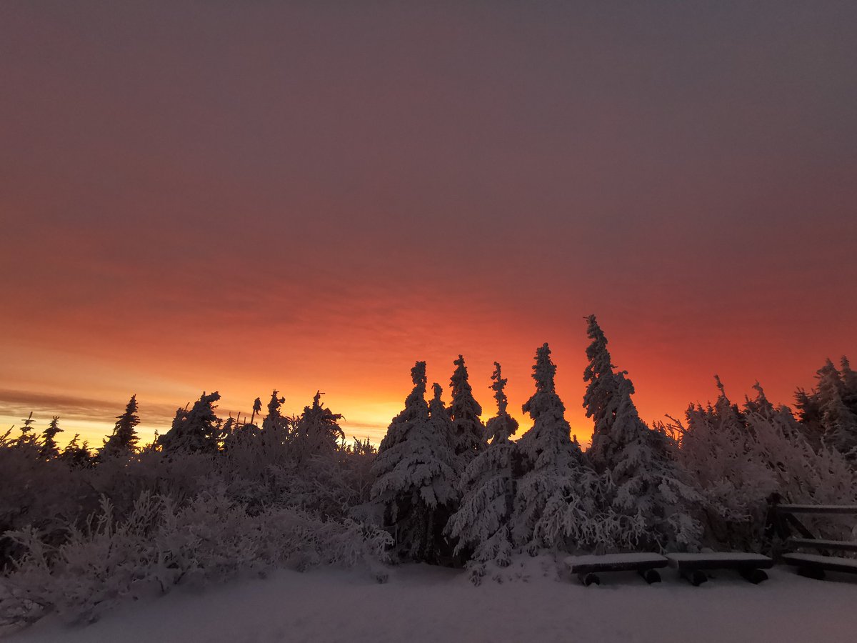 Marekptaku's tweet photo. Kilka fotek z wyjścia na Babią Górę.
Wycieczka fantastyczna, ale warunki na szczycie iście ekstremalne 🏔️🥶 https://t.co/BRjeZXIKhS