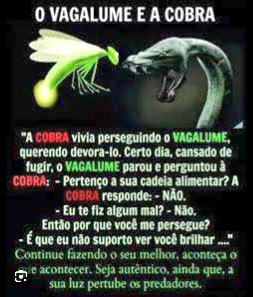 Então:
Continue fazendo o seu melhor, aconteça o que acontecer
Seja autêntico, ainda que, a sua luz pertube os predadores
Sabemos e aprendemos a reconhecer neste mundo turco, quem são as COBRAS e Sanguessugas,
e quem é o VAGALUME!
Fica a Dica:
Nós já estamos espertas  e letradas
