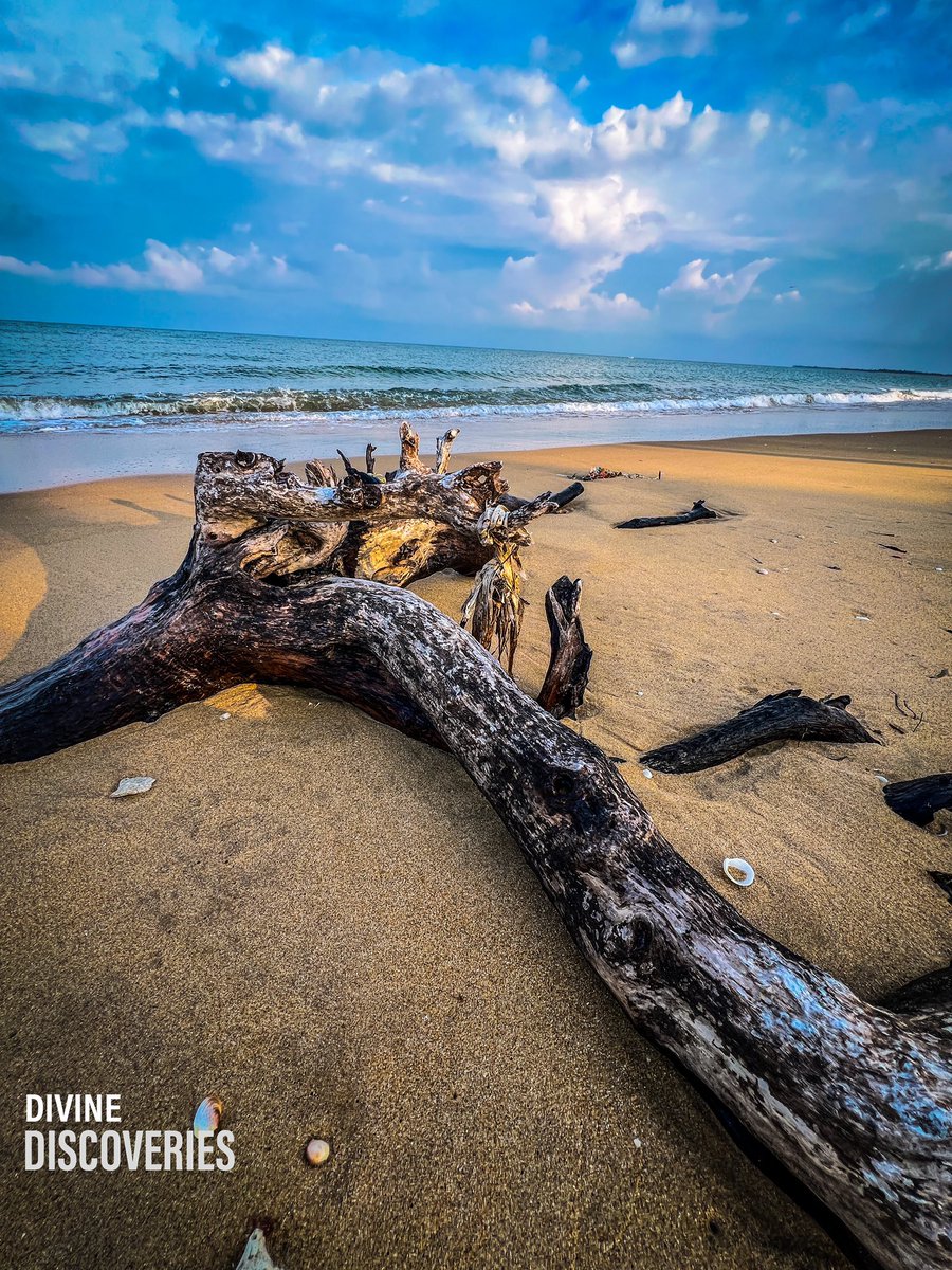 niro_pathi's tweet photo. As we step into the embrace of Kalpittiya, we're ready for the dance of the ocean breeze and the warmth of sandy shores beneath our feet. #divinediscoveries #travelwithfamilies #visitsrilanla https://t.co/Y6ykpf2g0J