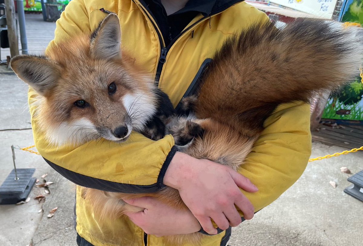 年末年始の営業について> 12月21日(木)から1月9日(火)まで 休まず営業