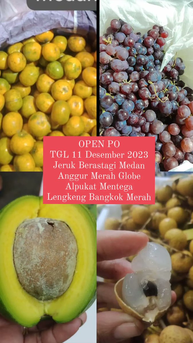 #iualbuah #anggurmuscat #manggalpukat #anekabuah #jeruk