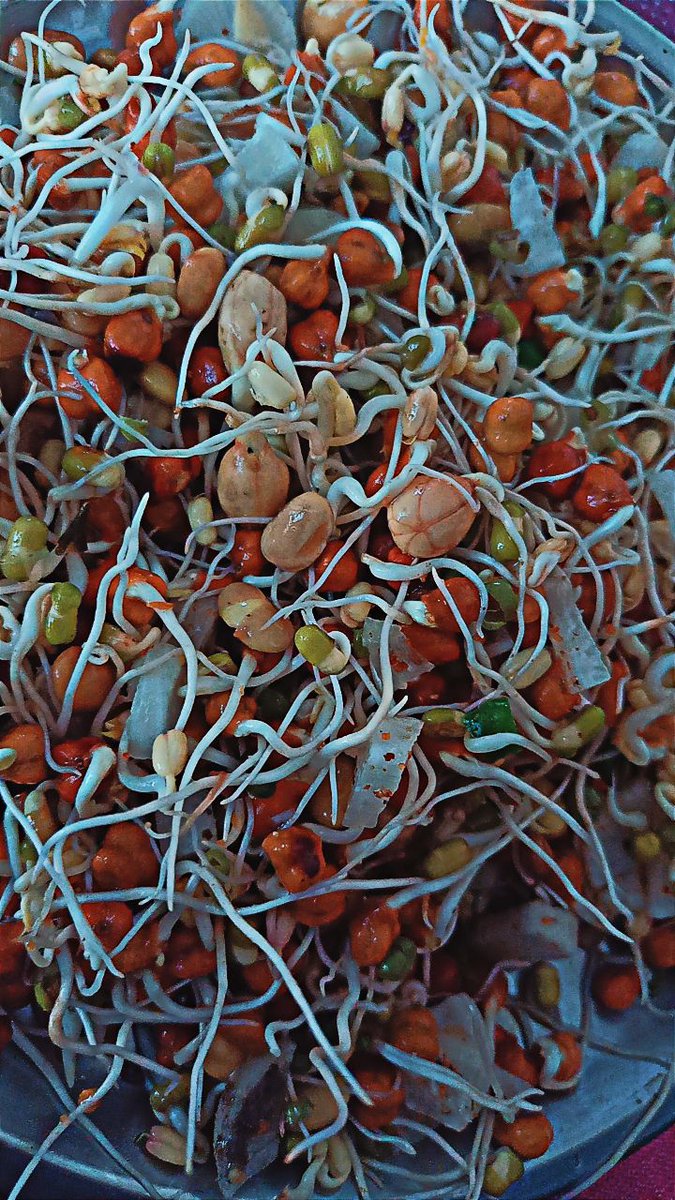 vaishnavi__03's tweet image. आप वो हो जो आप खाते हो........

 😋
#MorningStarter 🤩