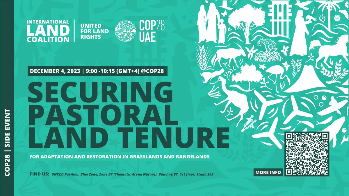 🌎 Happening now at #COP28, join us! 👉 SECURING PASTORAL LAND TENURE FOR #ADAPTATION AND #RESTORATION IN GRASSLANDS AND RANGELANDS ⏰ 9:00 -10:15 (GMT+4) 📌 UNCCD Pavilion, Blue Zone @PINGOsForum @redeschaco @IFAD @UNCCD @IndigenousInfo1 @Iwbnglobal
