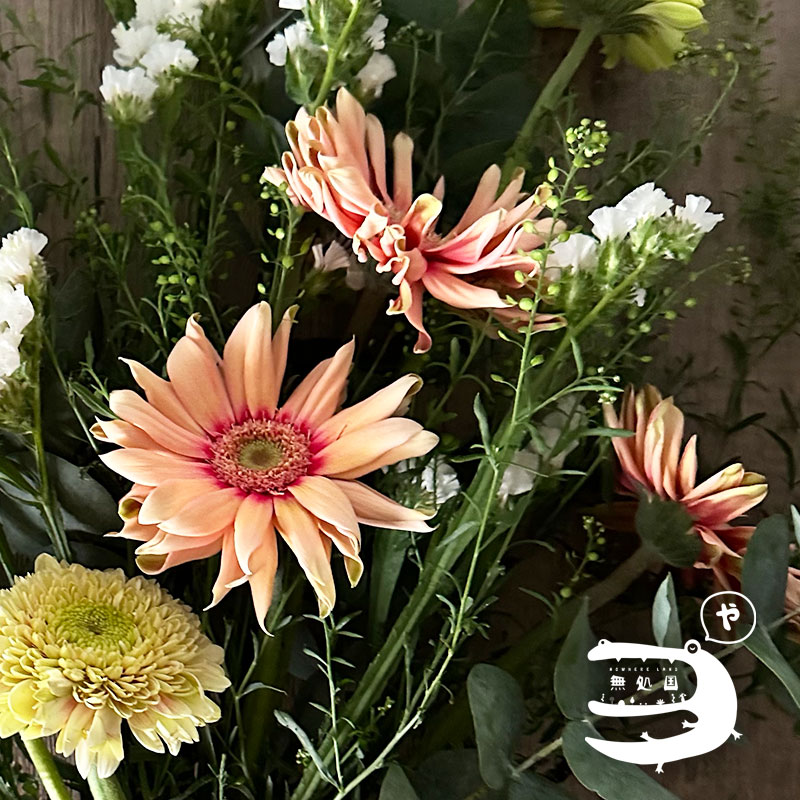 nowhereland4's tweet photo. Good morning ☀️ 
Here are the shots of Carbonara and Celebrity❤️
Good deal compares to the local market, we are the flower farmers growing these by ourselves (*^v^*)

Check it out!

https://t.co/Af4Jwakyjo https://t.co/vdIlW63iPv