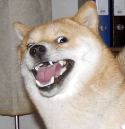 Gary Lachance tweet media