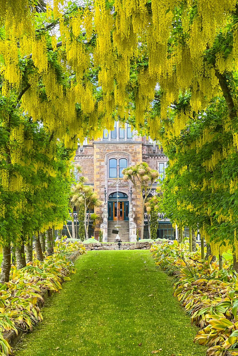 Dr Connor Blythe (PhD) tweet media