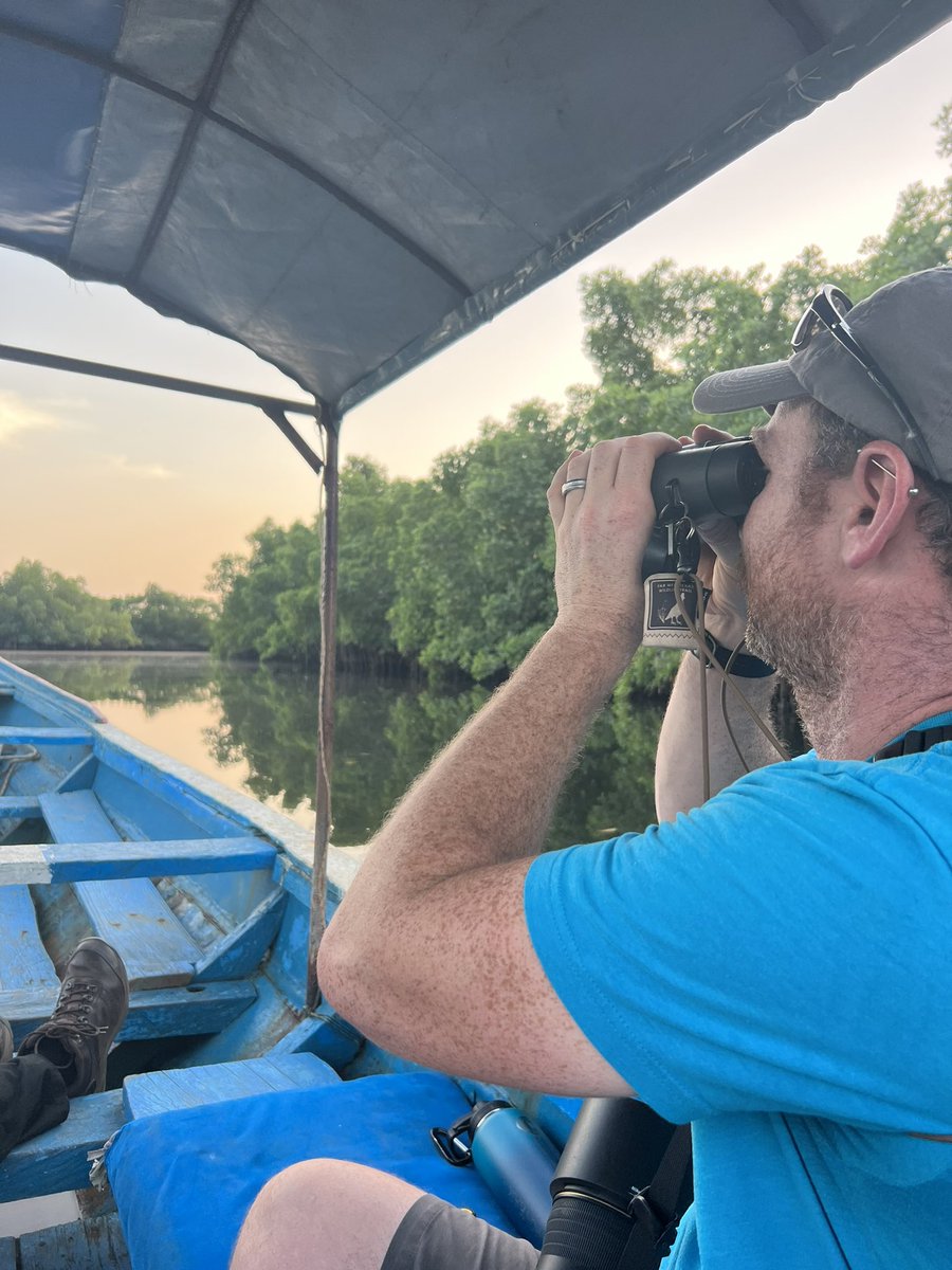 Go Birding Podcasts tweet media
