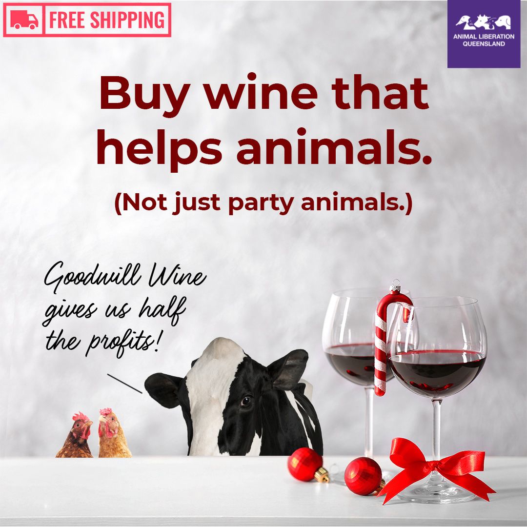 🍷Award-winning VEGAN wines with a 100% money-back guarantee. You get to support our important work and get FREE SHIPPING on some excellent wines. Click on the link below, choose us as your chosen charity and start shopping. 🎄 goodwillwine.com.au/pages/animal-l…