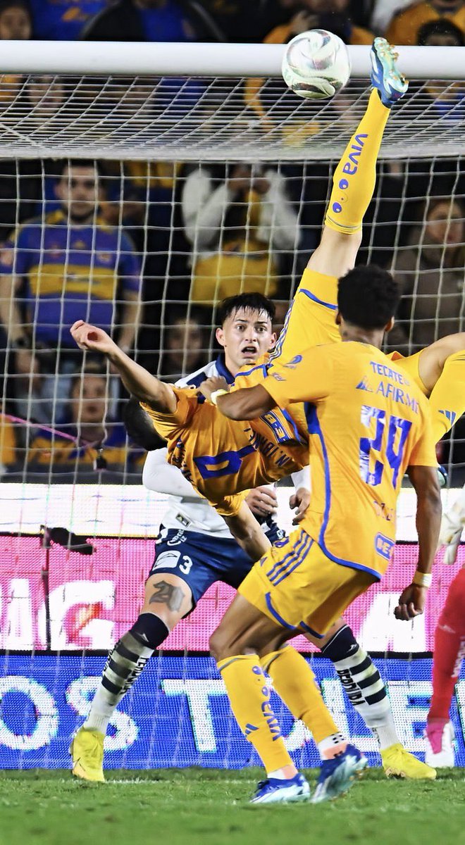RafaDato2's tweet photo. El golazo de chilena de Nico Ibáñez

Las reacciones: https://t.co/g25YHs8MrY