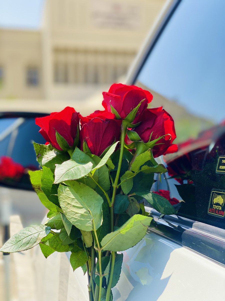 reeemy901's tweet photo. 🕊️🤍

تعــال لنشـرق سـوياً 
أنـا الصبـح … وأنت الخيـر كعادتــك🫀 https://t.co/RC8Tvnw2zB