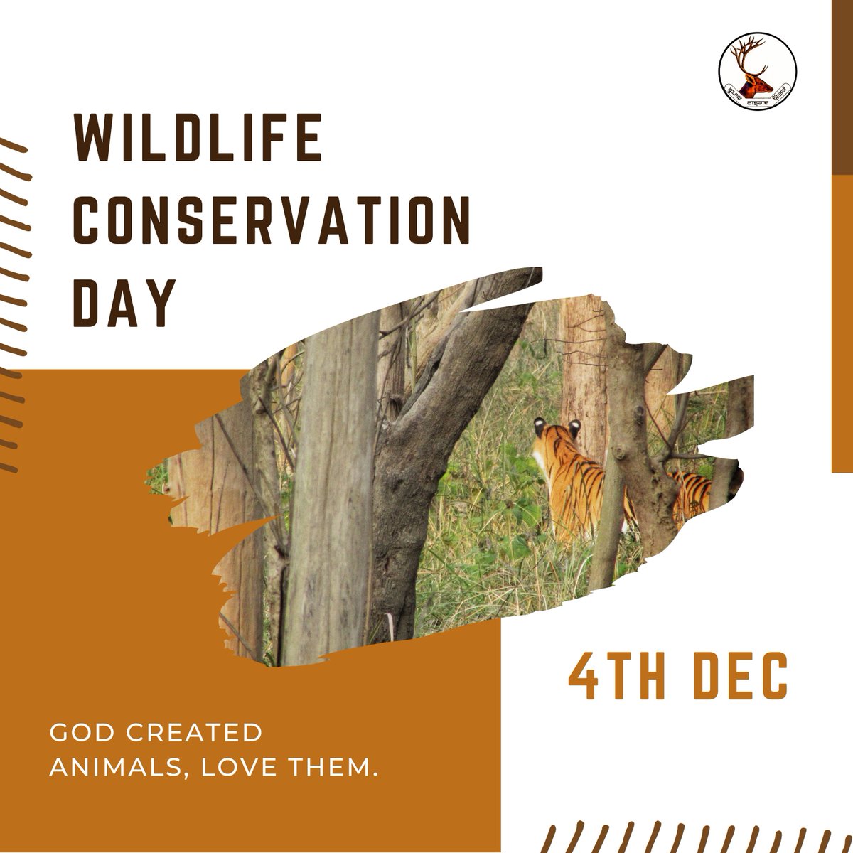 Dedicated efforts to protect our planet's incredible creatures & their habitats, ensuring future generations get to share in the wonder of nature.

#WildlifeConservationDay
#Save_wildlife

@moefcc
@ntca_india @UpforestUp @ifs_lalit @raju2179