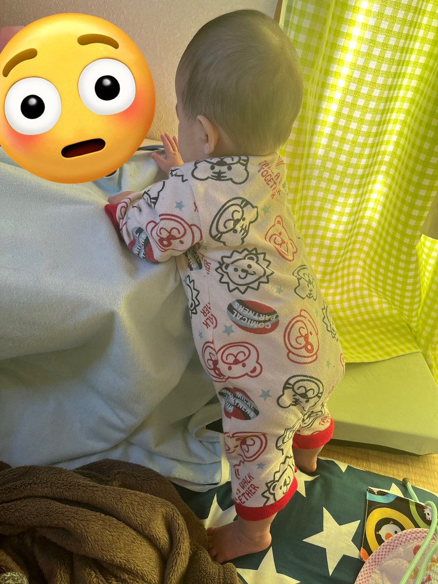 i__tu__ka's tweet photo. この間出てきたばっかりですよね？ https://t.co/ui3w2Rqnaq