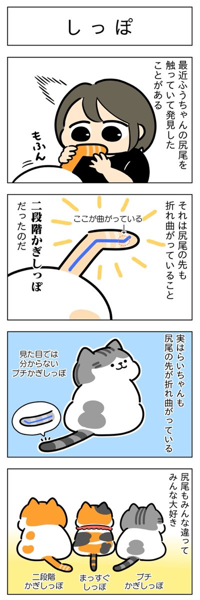 おめめ・しっぽ│フェリシモ猫部 