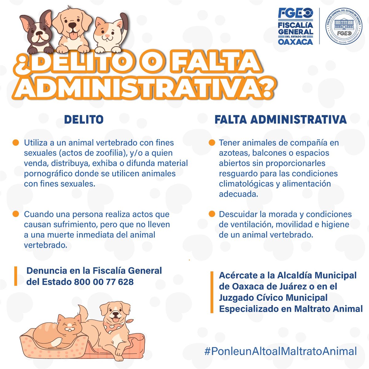 FISCALIA_GobOax's tweet photo. ¿Sabes la diferencia entre un delito y una falta administrativa en los casos de maltrato animal? Aquí te compartimos información al respecto y a dónde puedes acudir en cada caso. https://t.co/5sIODGoCu9