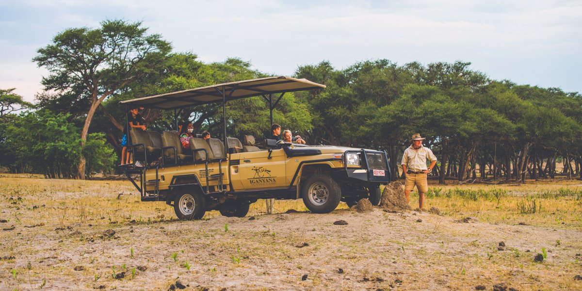 Reality TV can never compare to real, live Africa! Especially for children.

Going on a safari with kids is a life-changing experience. 
Stay Young | res@iganyana.com
#artonsafari #artsafari #artforconservation #paintedwolf #wilddog #Hwange #Africa #victoriafalls