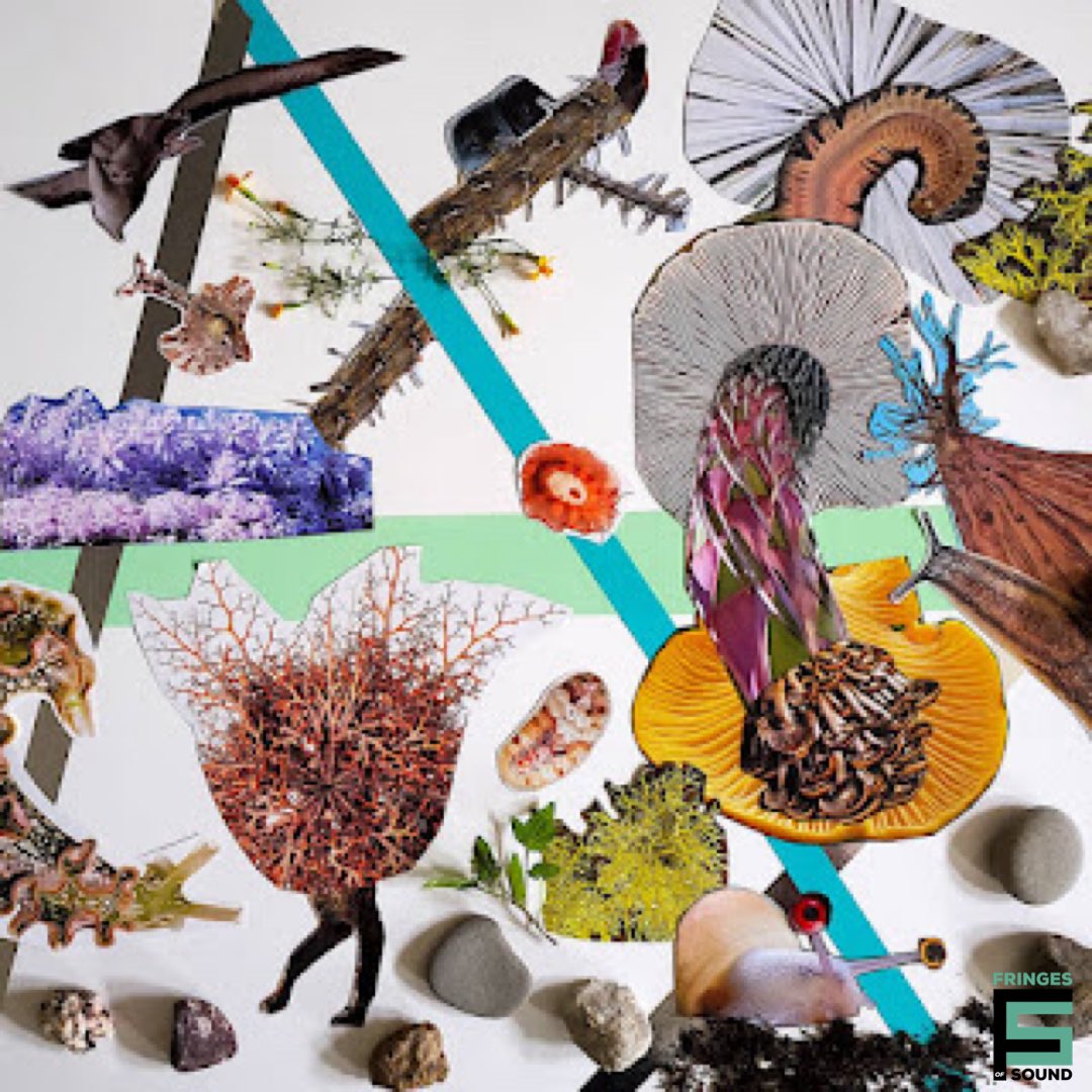 FringesofSound's tweet photo. For today’s review, we’re looking a new album from Wife Eyes, the brainchild of @moduS_ponY and nnirror released by the wonderful @Strategictaper 

https://t.co/Cfi11aQDup

#experimental #8bit #biosound #bandcamp #musicreview https://t.co/oWm1zQlpGY