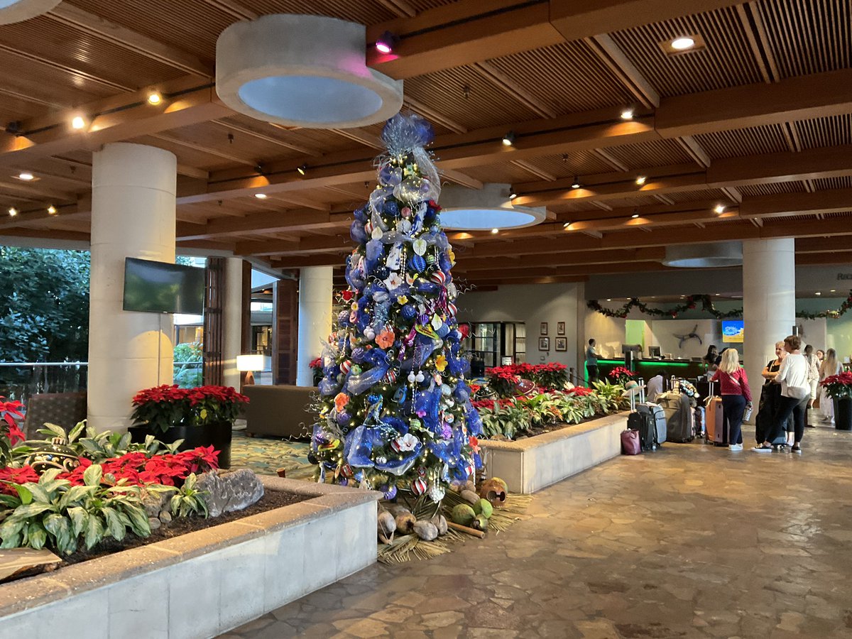 hawaii_isla808's tweet photo. Hale Koa Hotel in Waikiki today. 📸🎄🏝️🌴🌺❤️🤙🏼🌸🎅🏼 #hawaii #waikiki #oahu #halekoa #halekoahotel https://t.co/ZX1YkVAepQ