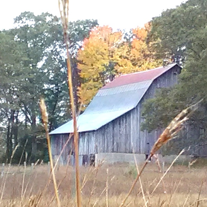 TownsUsa's tweet photo. Lewiston, Michigan 
Montmorency County
Population: 1,177
Photos from Google Places API
Link: https://t.co/G0rMnjTdVq https://t.co/tGHj7qbnjX