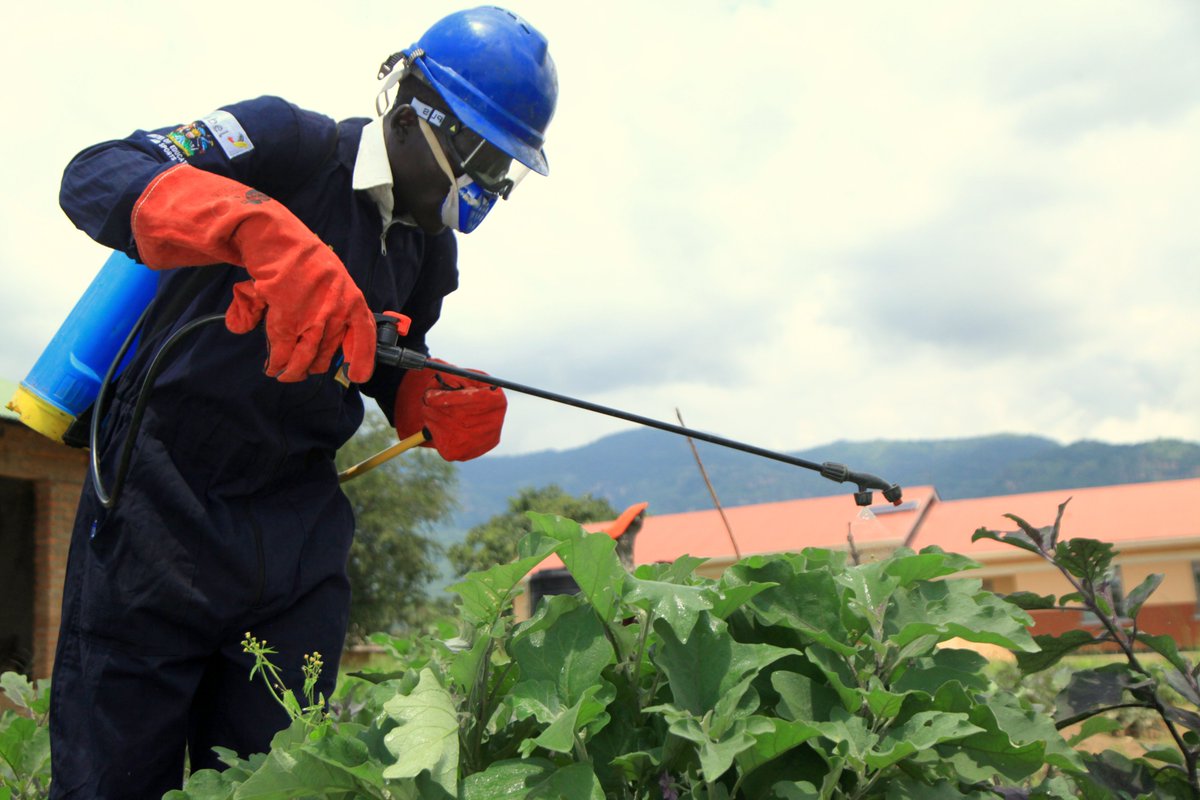 EnabelinUganda's tweet image. #KID2023| Our skilling &amp;amp; decent jobs programme will work with at least 3600 businesses to increase their productivity through greening initiatives, technical assistance etc.

The programme addresses the skills gap &amp;amp; facilitates the creation of decent jobs. Funded by 🇧🇪 &amp;amp; @EUinUG.