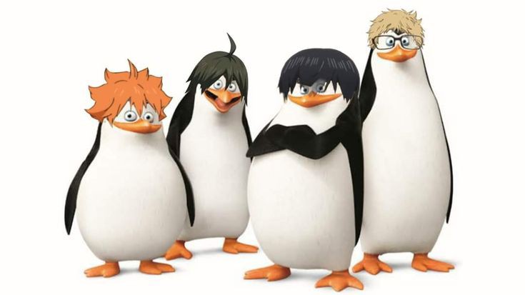 КАВАСАКИ КАГО КРИКО И ЭСТРИПЕР