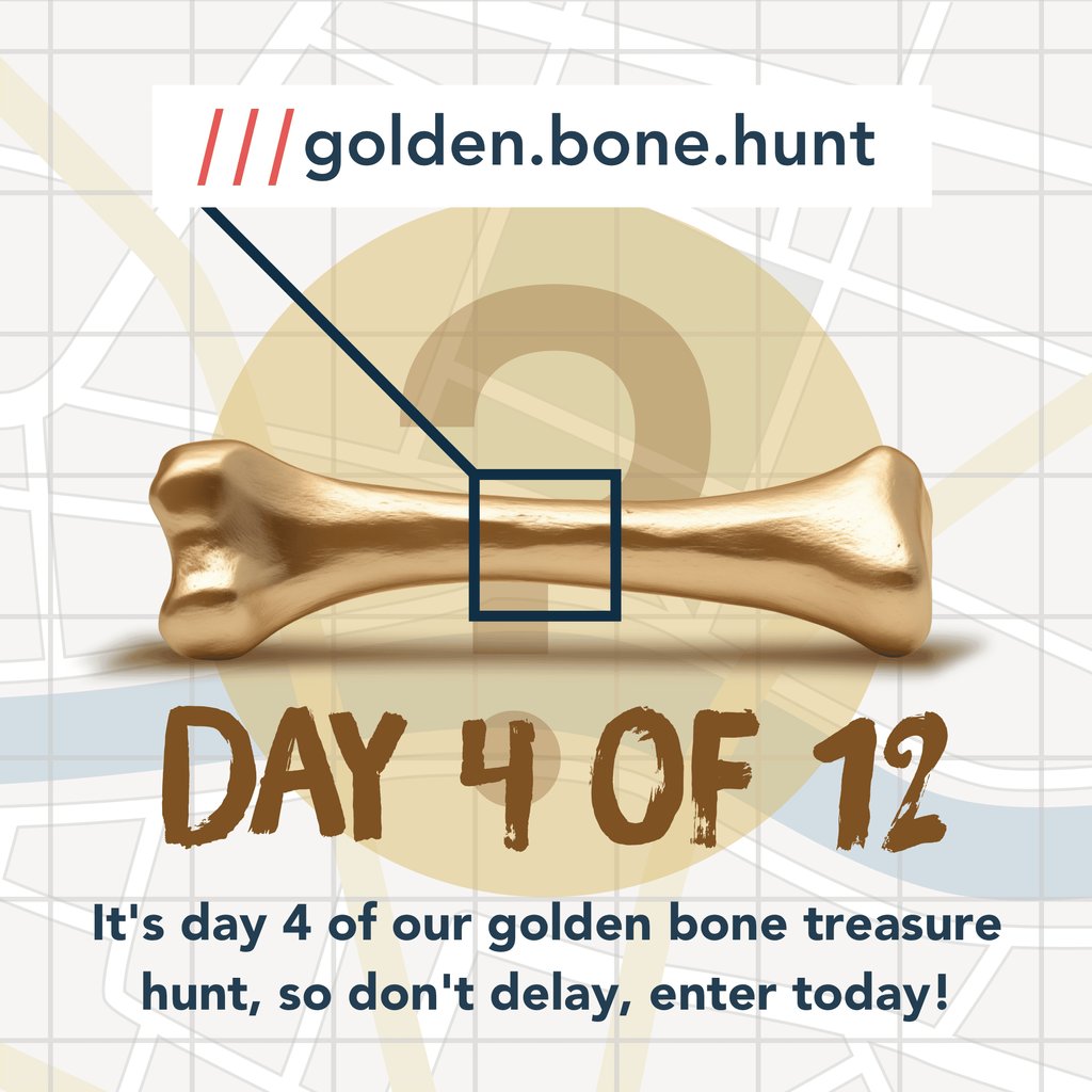Find your fourth golden bone to increase your chances of winning a £1,000 holiday voucher!* 

Click here to find out more: social.caninecottages.co.uk/goldenbonecomp…

#goldenbone *Ts &amp; Cs apply Image source: Nicola Hicks