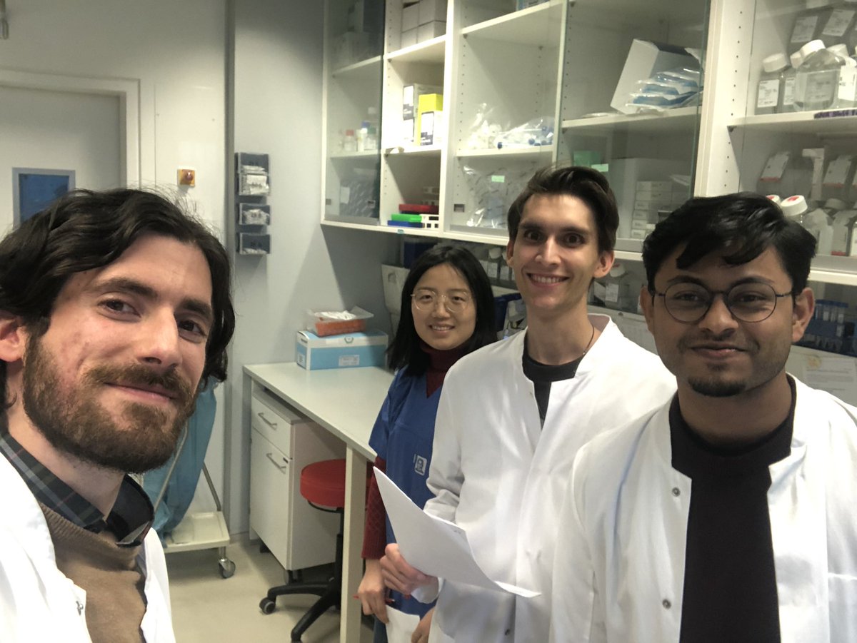 Manolis Solomonidis tweet media