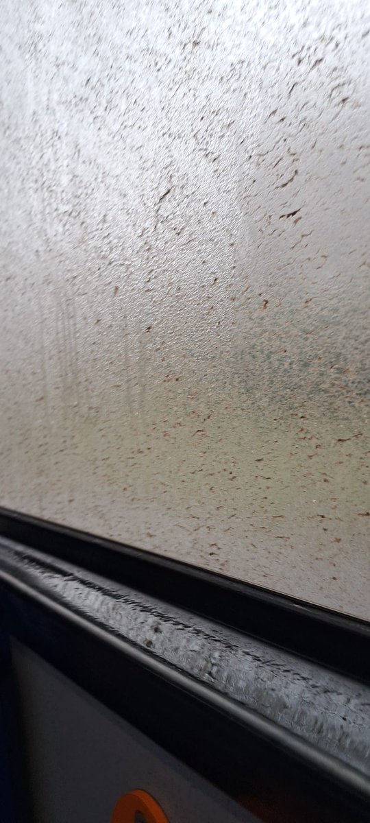 mcyoung08's tweet photo. @StagecoachEMid can you clean your buses once in a while please. Not joking I couldn't see if I was at my stop. They are always like this. Number 2 to Paston 10am this morning. https://t.co/fvAMi4j4wg
