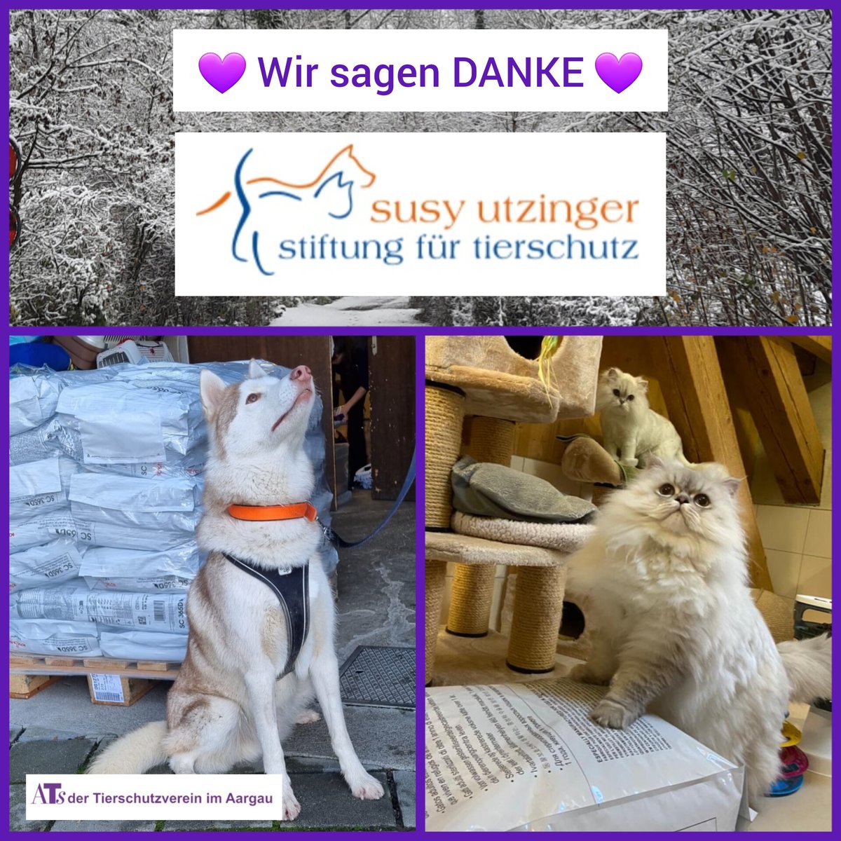 ATs_Tierschutz's tweet photo. 🙏🏼#Danke @SusyUtzinger
für die #Futterspende zu #Weihnachten 💜
https://t.co/bUchjPyuIK
🌟
#tierheim #spende #geschenk #aargau #schweiz #futter #tier #hund #katze #thankyou #love #dankbar #liebe #dank #glücklich #thanks #help #dankbarkeit #advent #happy #thankful #merci #freude https://t.co/0Qmp1pjUwR