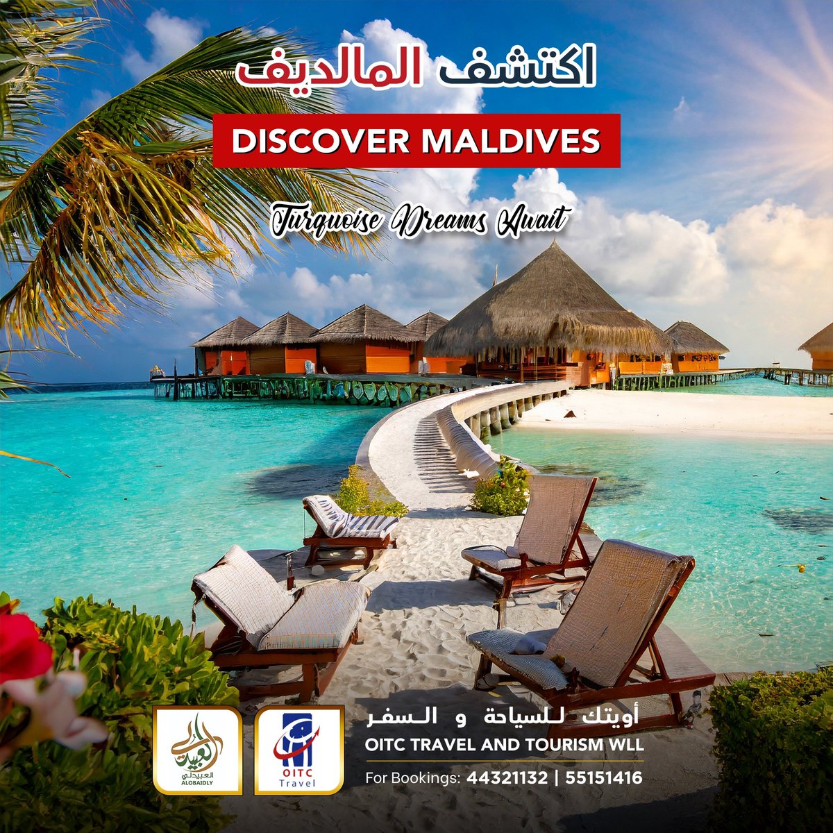 Book your exclusive packages with us !

Discover Maldives with Srilankan Airlines for 3 nights & 4 days! 

 #maldivesadventure #sunsandsea #exploremaldives #wanderlust #islandlife #vacationgoals #travelbliss #diveintoparadise #doha #qatar #oitctravels