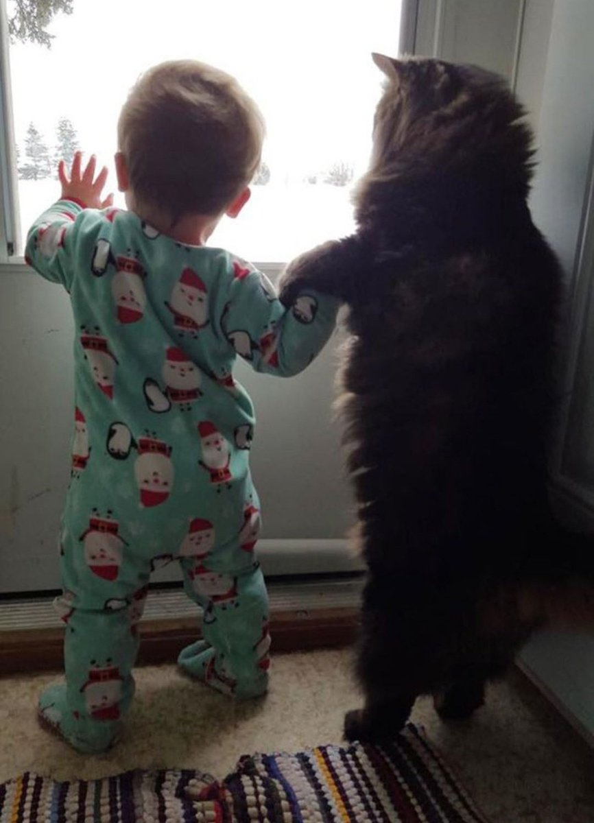 Miep51082958's tweet photo. #TheCuteFactor https://t.co/hRai0xjBnr