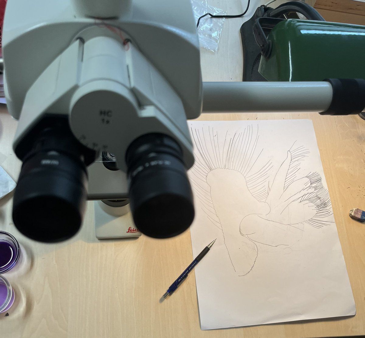 Magdalini.Christodoulou tweet media