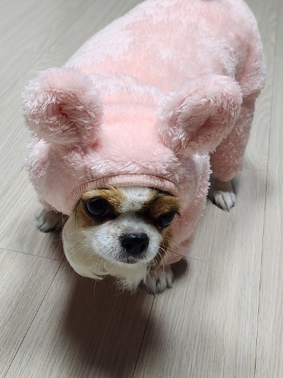 FROMHW2's tweet photo. 기현이랑 봉숙이랑 토끼 남매였다네요 https://t.co/smSEqE9Cwq