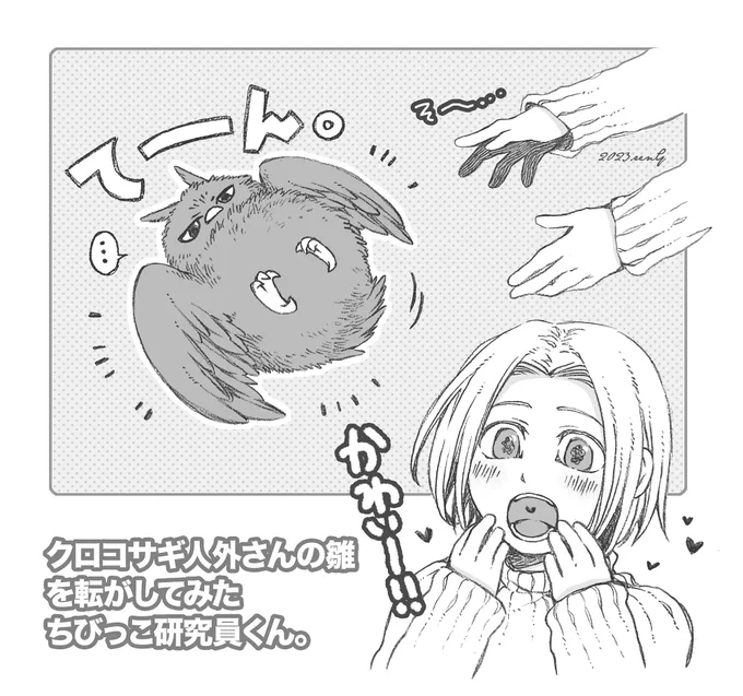 クロコサギ人外さんの雛のお腹を見たくて転がしてみた、ちびっこ研究員くん。
※抵抗無し 