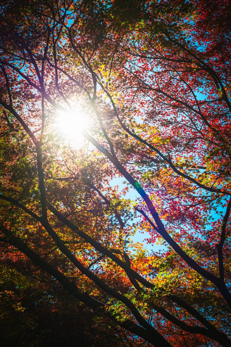 自分の居場所は

自分で見つけるしかないんだ

#photography #photo