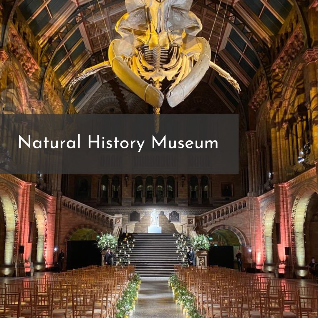 Seasoned (@beseasoned_) on Twitter photo π¦Host your next event at the <a href="/NHM_London/">Natural History Museum</a> ! ποΈ
πΈ Picture your special day or corporate gathering amid stunning architecture.
πΌ Our dedicated team ensures your dream event becomes a
reality.
π« The Natural History Museum means more than just securing a beautiful venue. π¦Host your next event at the <a href="/NHM_London/">Natural History Museum</a> ! ποΈ
πΈ Picture your special day or corporate gathering amid stunning architecture.
πΌ Our dedicated team ensures your dream event becomes a
reality.
π« The Natural History Museum means more than just securing a beautiful venue.