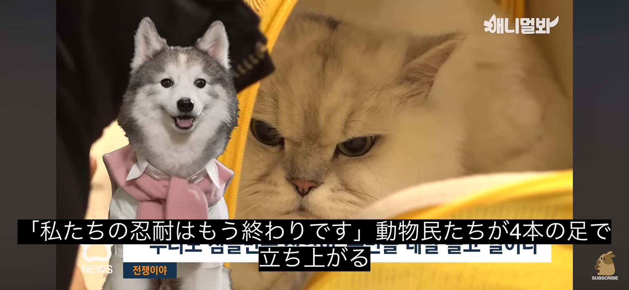 大切にしてくださる方（ ;  ; ）まだかな…頑張ってます！ 稀 on X: 