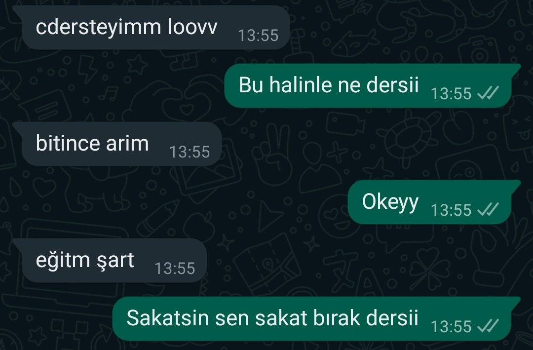 Abi bu eğitim aşkı nereden geliyor? Memlekete it kopukta lazım.