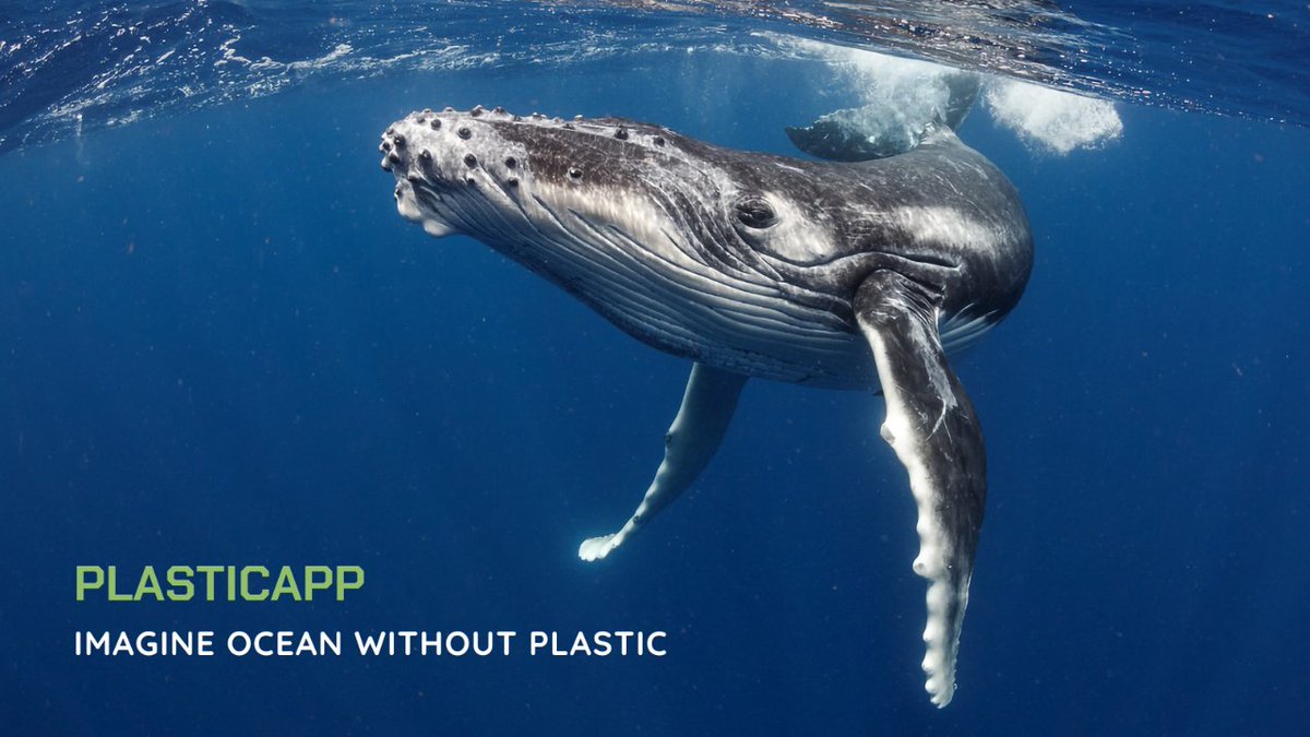 🆘 Our oceans are drowning, but we hold the lifeline! PlasticApp makes recycling a thrilling adventure. Earn rewards, compete in challenges, and be a hero for our seas. 🔄🌊 Together, we can rescue our oceans! 💙🐋 #OceanHeroes #PlasticAppAdventure