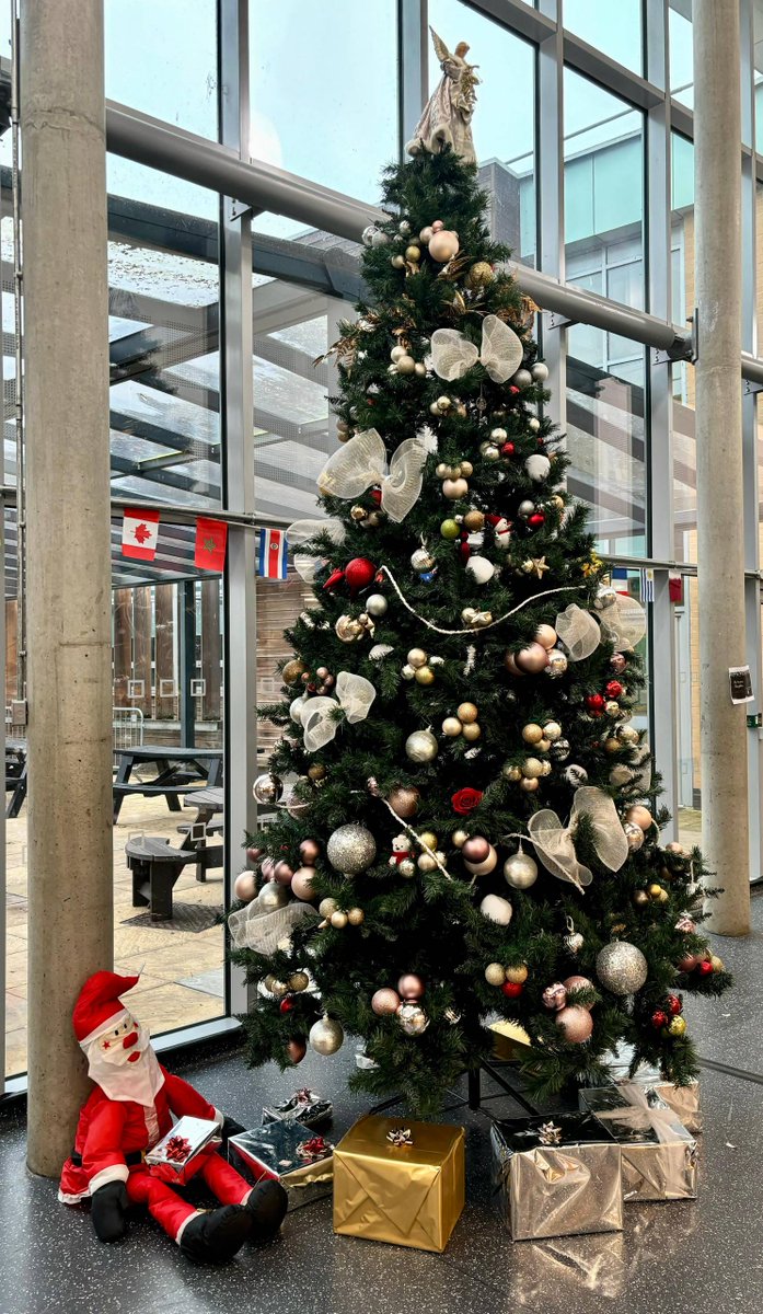 It's beginning to look a lot like Christmas at ESJ🎄🎅🤶