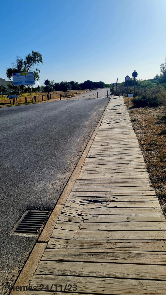 JOSE GOSALBEZ PAYA tweet media