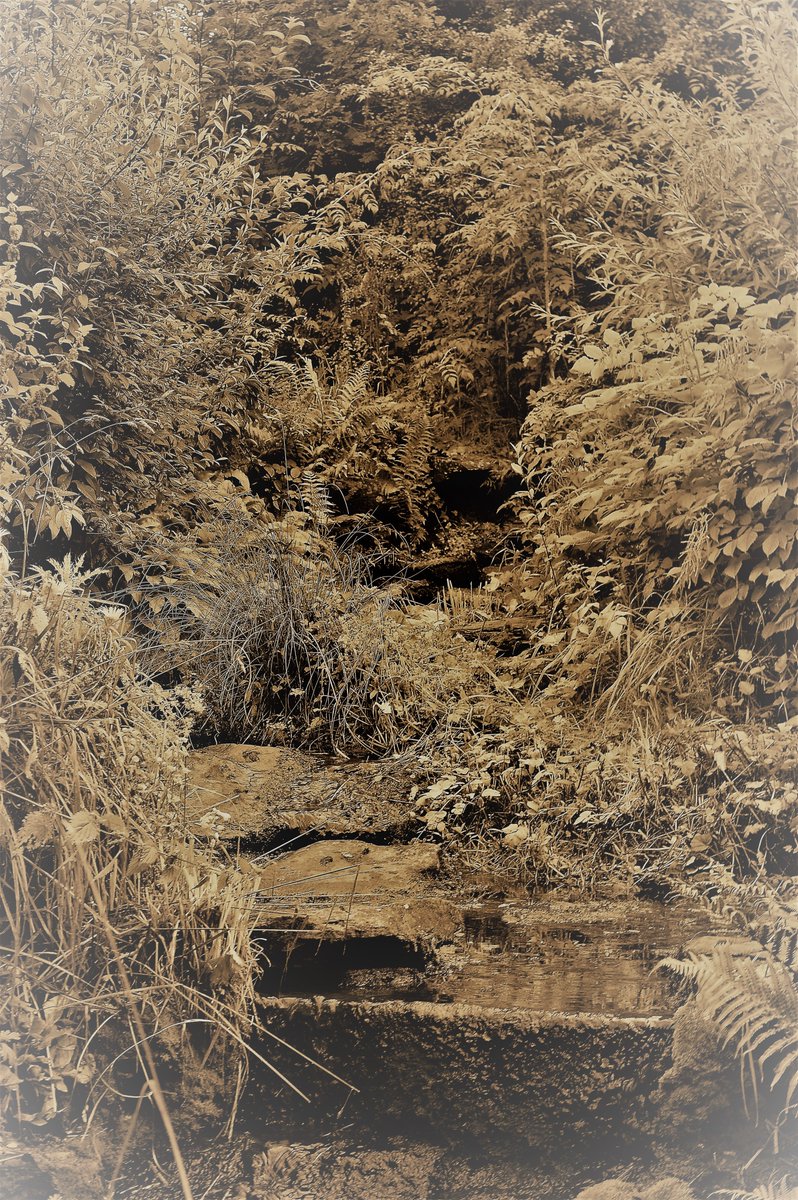 Ian Overton tweet media